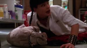 ncis abby hippo