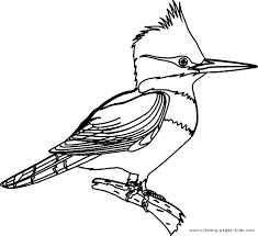 printable bird pictures