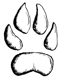 bobcat paw print