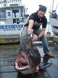 shark fishing pictures