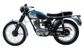 tiger cub triumph