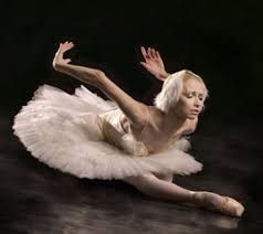 the dying swan
