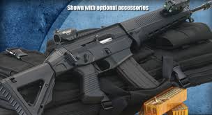 sig sauer 22 cal