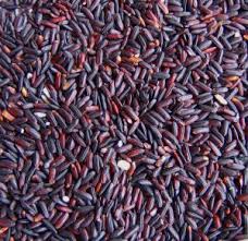 black forbidden rice