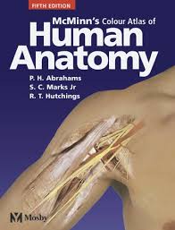 human anatomy fifth edition