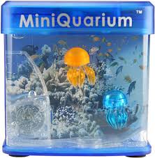 aquarium usb