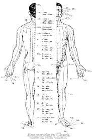 acupuncture meridien