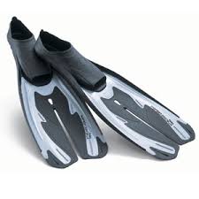 divers fins
