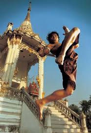 muay thai elbows