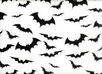 black bats