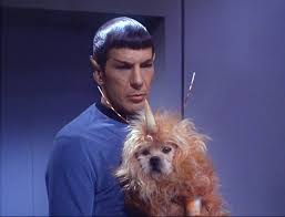 star trek enemy within
