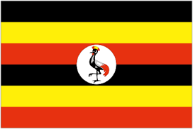 سر اختيار الوان العلم لجميع الدول UGAN0001