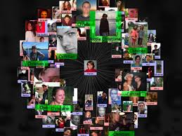 social cognition