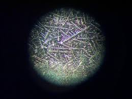citric acid crystal