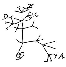charles darwin the tree of life