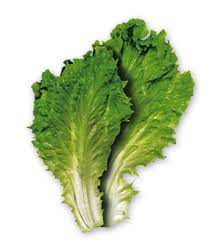 flower vegetables