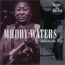 muddy waters mannish boy