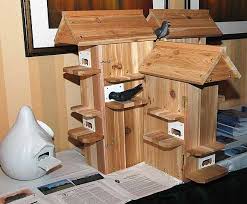 purple martins houses