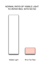 light ratio