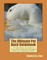 pet duck