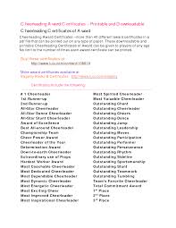 2010 - 2011 printable nfl bracket