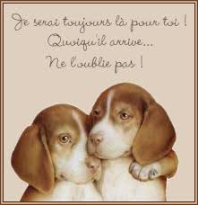 pour blogs