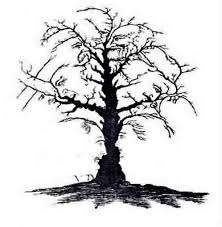 find the