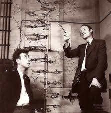 double helix watson
