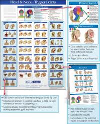 trigger point charts