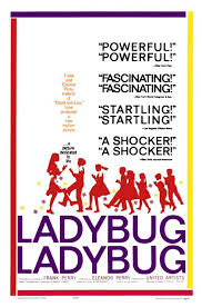 ladybug poster