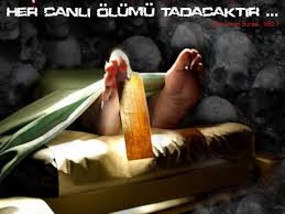 canl� �l�m g�r�nt�leri
