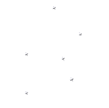 animated gif butterflies