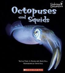 octopuses and squids