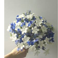 navy blue flowers
