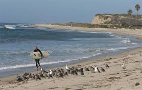 San Onofre State Beach