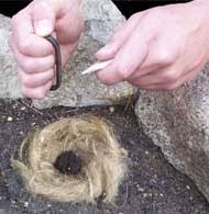 flint fire striker