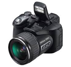 still cameras