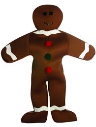 christmas fancy dress outfits