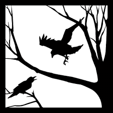 crows pictures