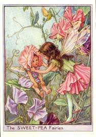 flower fairys