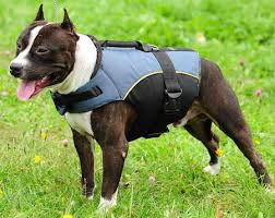 dog weights vest