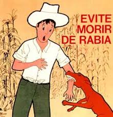 virus de la rabia