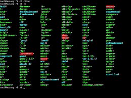linux command