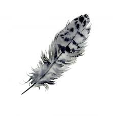 feather picture