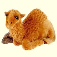 stuffed animal camel
