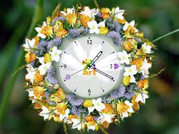 clocks flower