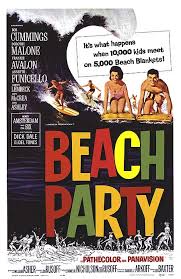 Beach Party Icon