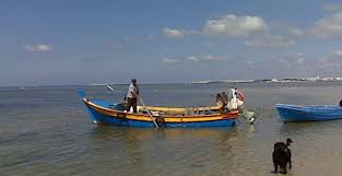 ria formosa