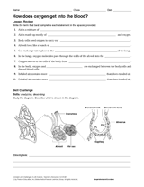 printable raindrop templates