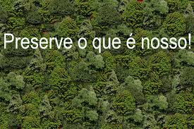 Ver imagem em tamanho grande